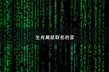 生肖属鼠取名的宜 - 属鼠的人取名宜忌表