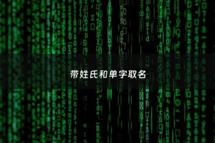 带姓氏和单字取名 - 单姓起名
