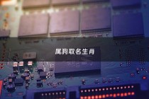 属狗取名生肖 - 属狗取名字什么字最好