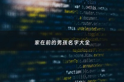 家在前的男孩名字大全 - 家在前面的四字成语