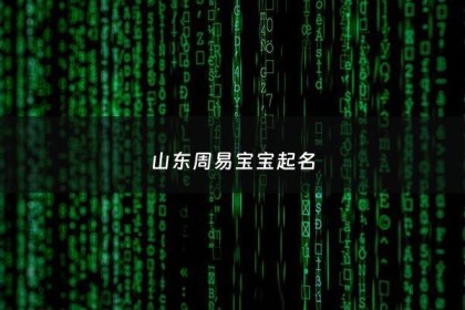 山东周易宝宝起名 - 淄博市起名好的周易