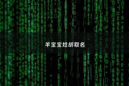 羊宝宝姓胡取名 - 姓胡属羊的宝宝名四字