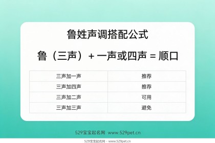 鲁姓起名：上声字搭配公式与避坑+68个男女宝宝寓意好名精选