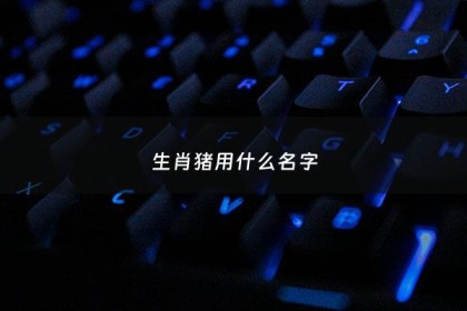 生肖猪用什么名字 - 生肖属猪的取名字注意什么