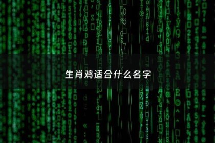 生肖鸡适合什么名字 - 适合生肖鸡的名字