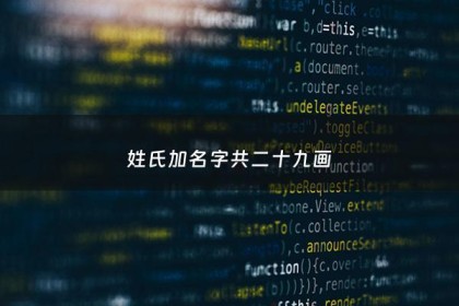 姓氏加名字共二十九画 - 姓名二十九画好不好?