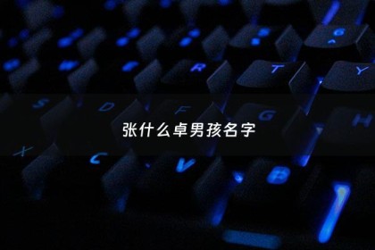 张什么卓男孩名字 - 张卓名字的含义