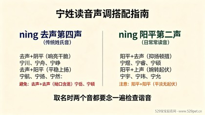 宁姓男宝宝起名字大全：读音解析 + 动静搭配 + 80 个好名（附谐音避坑）