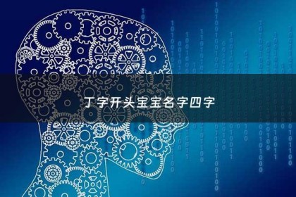 丁字开头宝宝名字四字 - 丁开头的名字