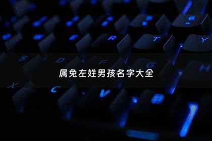 属兔左姓男孩名字大全 - 属兔的名字男孩