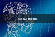 斯姓取名男孩名字 - 姓斯取什么名字