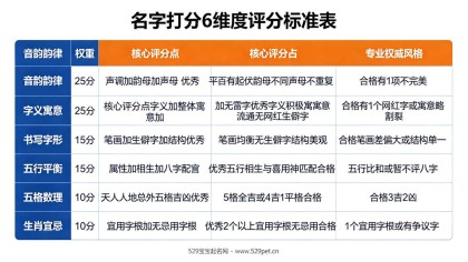起名字测试打分：6维度评分标准 + 3个名字完整打分示范
