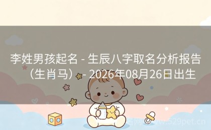 李姓男孩起名 - 生辰八字取名分析报告（生肖马） - 2026年08月26日出生