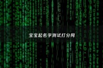 宝宝起名字测试打分网 - 宝宝取名测试打分免费