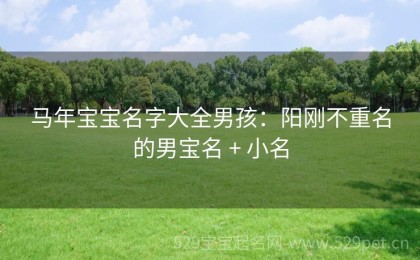马年宝宝名字大全男孩：阳刚不重名的男宝名 + 小名