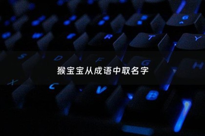 猴宝宝从成语中取名字 - 猴字取名的成语