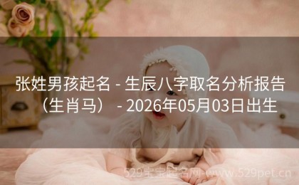 张姓男孩起名 - 生辰八字取名分析报告（生肖马） - 2026年05月03日出生