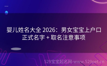 婴儿姓名大全 2026：男女宝宝上户口正式名字 + 取名注意事项