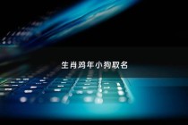 生肖鸡年小狗取名 - 属鸡属狗生个什么宝宝