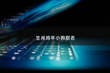 生肖鸡年小狗取名 - 属鸡属狗生个什么宝宝