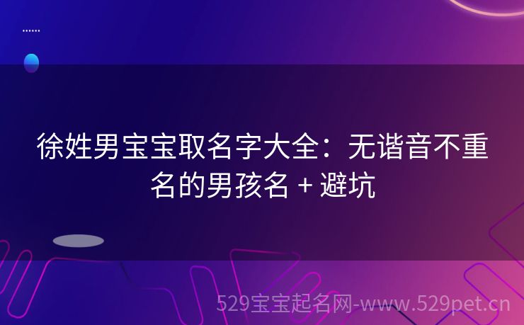 徐姓男宝宝取名字大全:无谐音不重名的男孩名 + 避坑