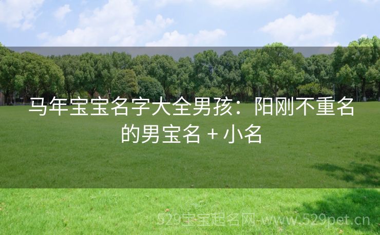 马年宝宝名字大全男孩:阳刚不重名的男宝名 + 小名