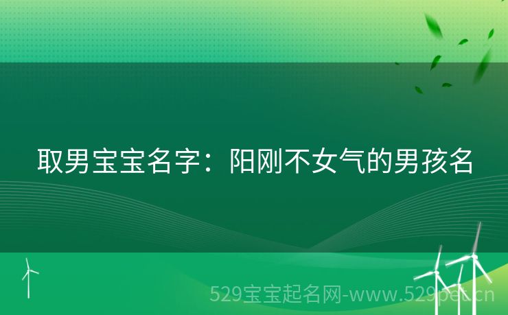 取男宝宝名字:阳刚不女气的男孩名