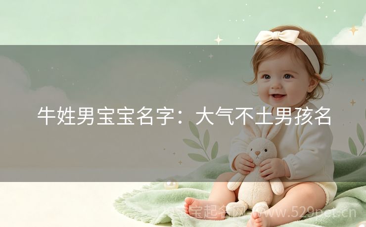牛姓男宝宝名字:大气不土男孩名