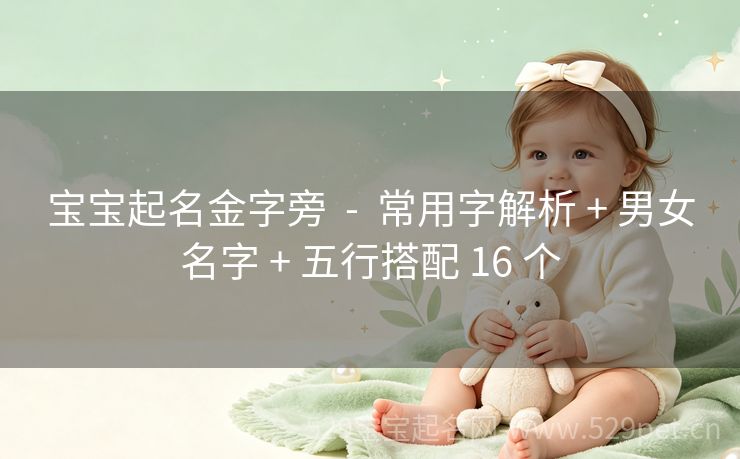 宝宝起名金字旁 - 常用字解析 + 男女名字 + 五行搭配 16 个