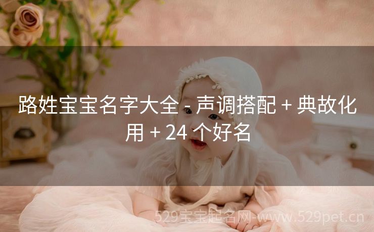 路姓宝宝名字大全 - 声调搭配 + 典故化用 + 24 个好名