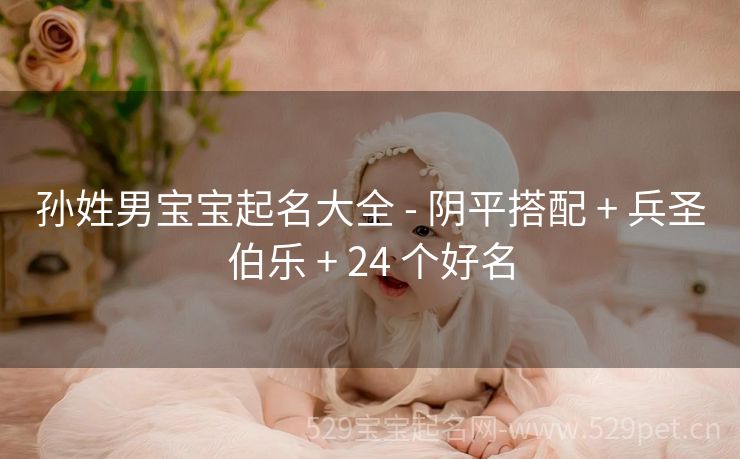 孙姓男宝宝起名大全 - 阴平搭配 + 兵圣伯乐 + 24 个好名