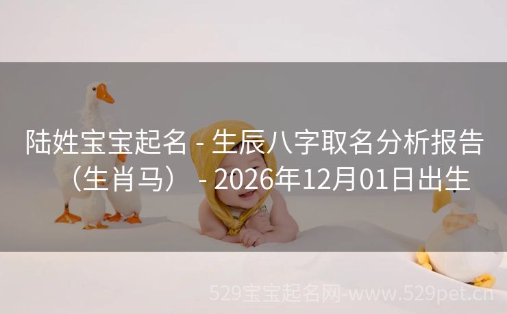 陆姓宝宝起名 - 生辰八字取名分析报告(生肖马) - 2026年12月01日出生