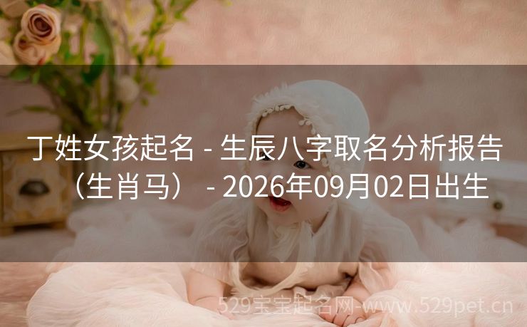 丁姓女孩起名 - 生辰八字取名分析报告(生肖马) - 2026年09月02日出生