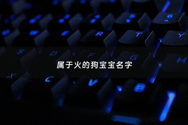 属于火的狗宝宝名字 - 属狗的宝宝名字宜用字