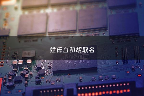 姓氏白和胡取名 - 百家姓胡取名字大全
