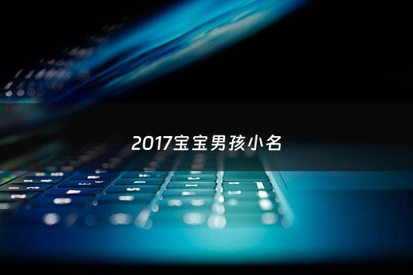 2017宝宝男孩小名 - 2017年男宝宝小名