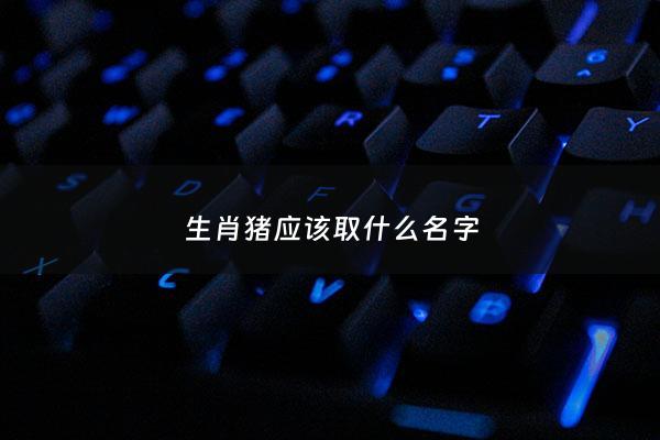生肖猪应该取什么名字 - 属猪的起名字