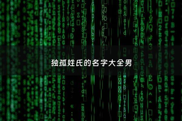 独孤姓氏的名字大全男 - 独孤姓氏男生名字