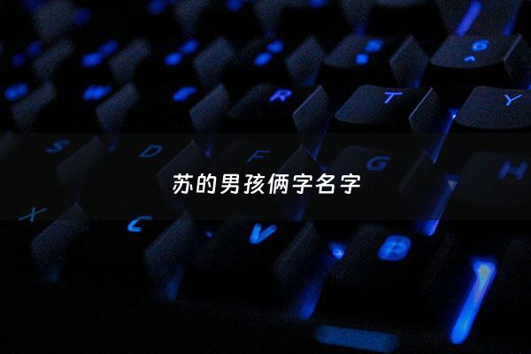 苏的男孩俩字名字 - 姓苏的男孩名字超好听二个字
