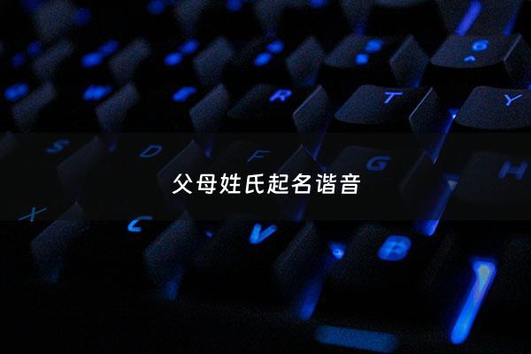 父母姓氏起名谐音 - 父母的姓合在一起取名的意义