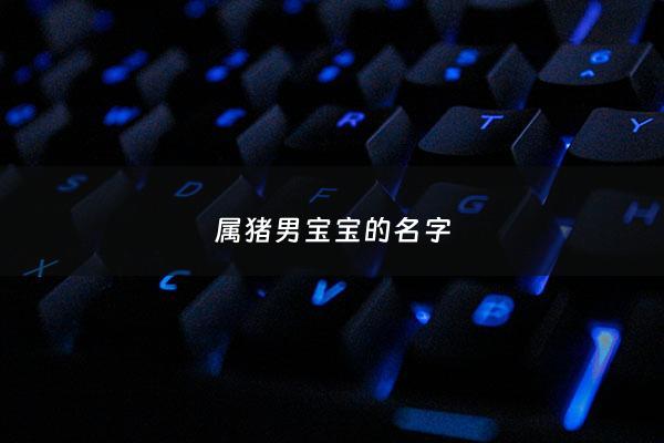 属猪男宝宝的名字 - 属猪男宝宝名字寓意好