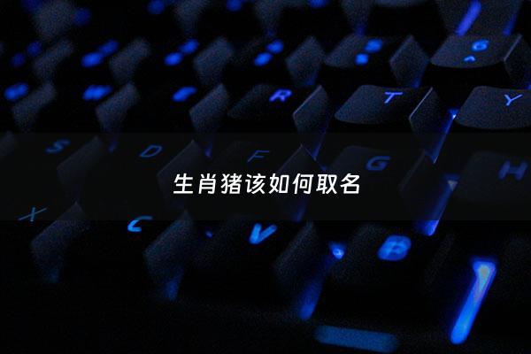 生肖猪该如何取名 - 属猪起名