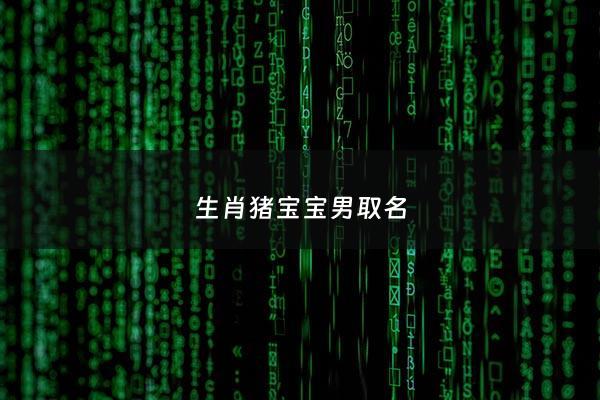 生肖猪宝宝男取名 - 属猪男孩名字取法大全