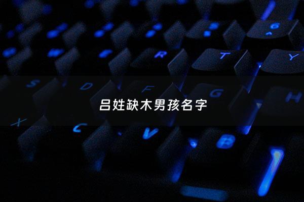 吕姓缺木男孩名字 - 姓吕缺木女孩名字