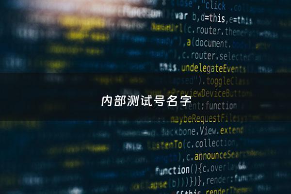 内部测试号名字 - 内部测试包括