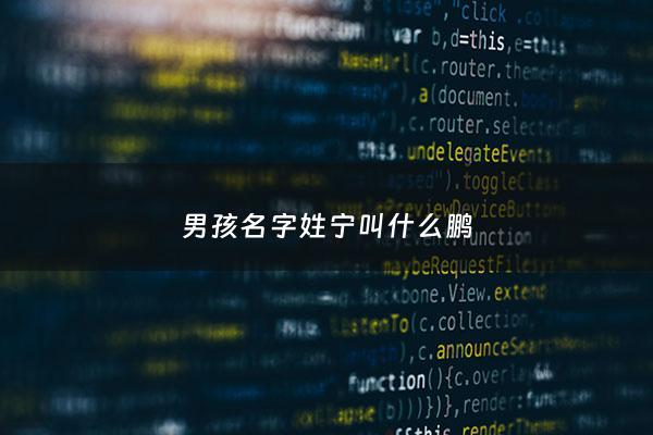 男孩名字姓宁叫什么鹏