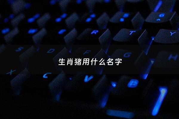 生肖猪用什么名字