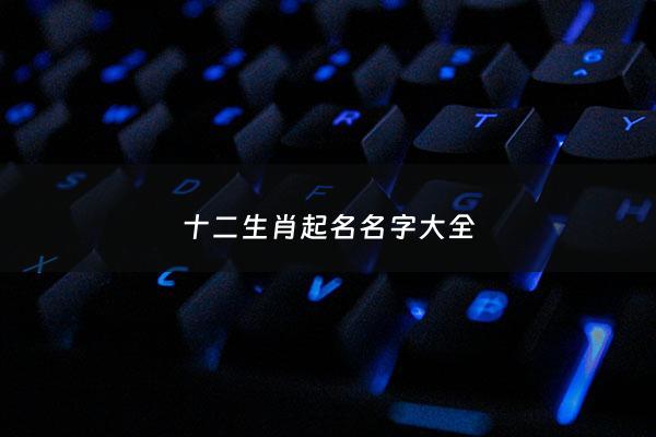 十二生肖起名名字大全