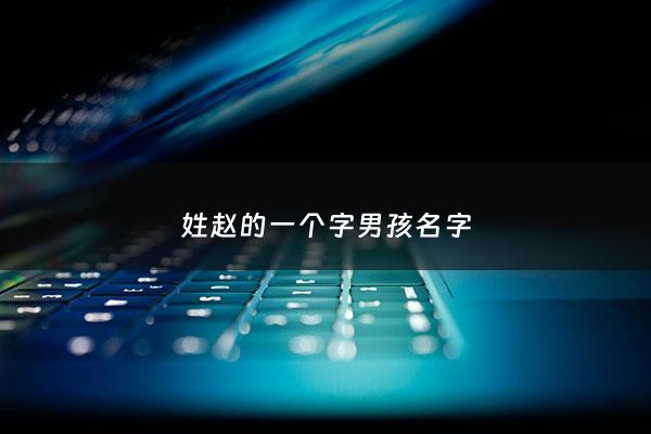 姓赵的一个字男孩名字