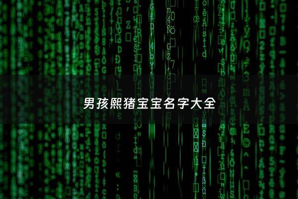 男孩熙猪宝宝名字大全